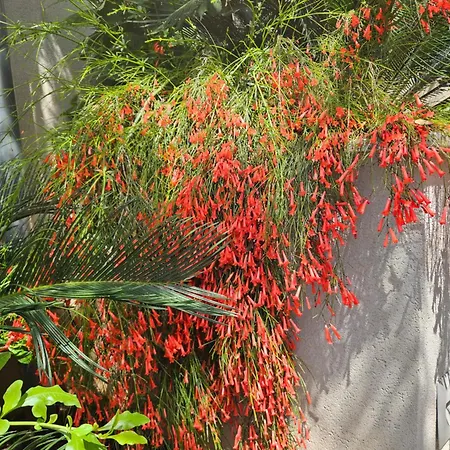 Appartement Marinovic *