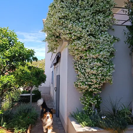 Marinovic Appartement