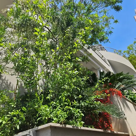 Marinovic Podgora (Split-Dalmatia)