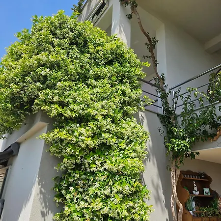 Apartmani Marinovic Lägenhet *