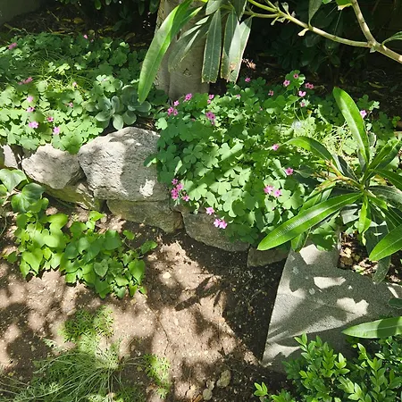 Appartement Marinovic