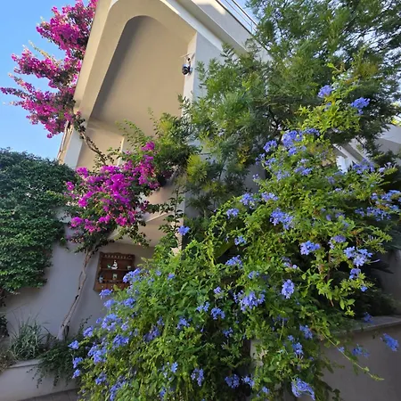 Apartmani Marinovic * Podgora (Split-Dalmatia)