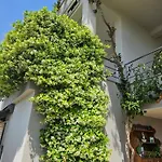 Apartmani Marinovic Lägenhet *