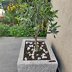 Apartmani Marinovic *