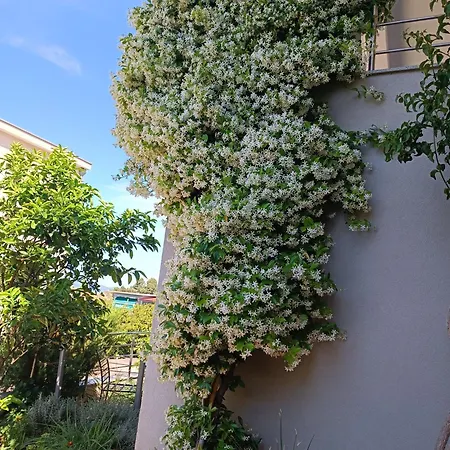 Marinovic Apartmán